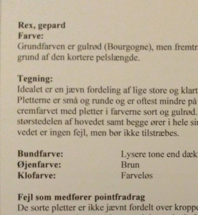 Nordisk standard for gepard rex 